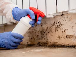 Best Mold Odor Removal Services  in Republic, PA